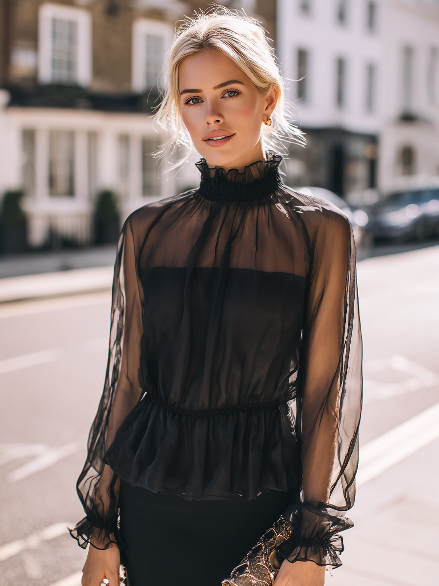 Sheer High Neck Long Sleeve Blouse
